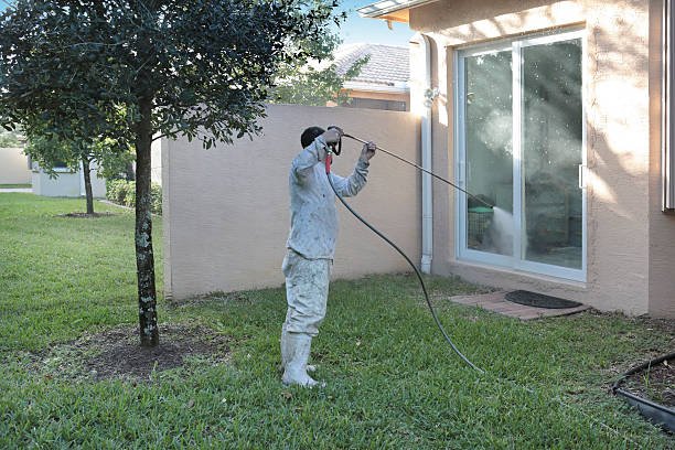 Why Window Washing Should Be Part of Your Routine Maintenance